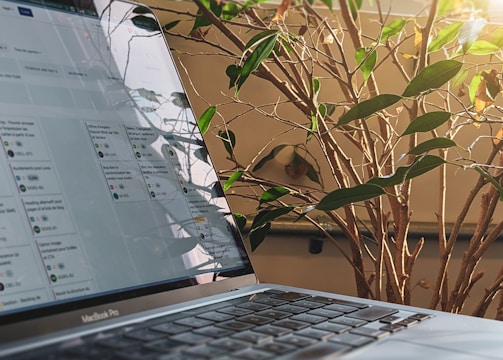 A laptop with a visible MacBook logo is placed on a surface, showing a Kanban-style project management tool on its screen, with natural light reflecting off the screen. In the background, there is a leafy plant with green and some brown leaves, illuminated by sunlight from the right side.